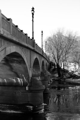 Random Photos from Sunday, 31 January, 2010