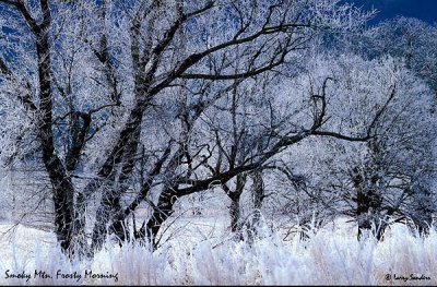 Frosty-Morning.jpg