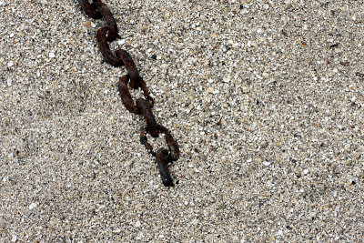 MISSING LINK