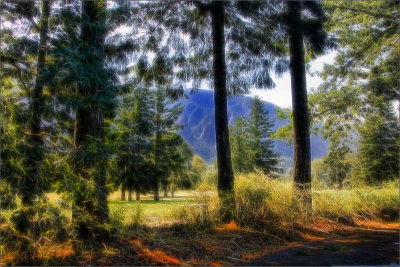 Washougal,  Washington