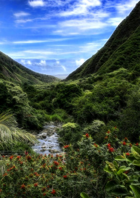 Iao Valley