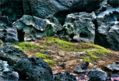Maui Coast