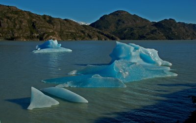 Icebergs, Lago Grey