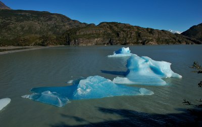 Icebergs, Lago Grey
