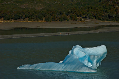 Icebergs, Lago Grey