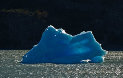 Icebergs, Lago Grey