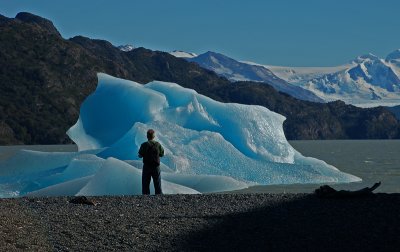 Icebergs, Lago Grey