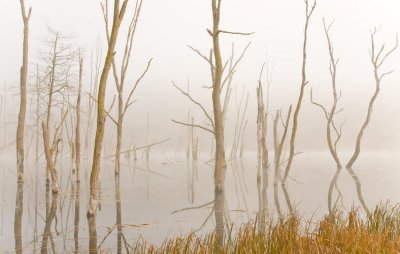 Kimseys Run Lake, Lost River, WV