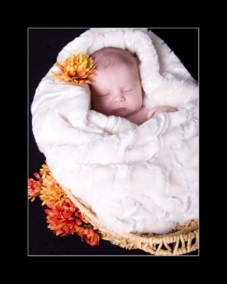 Great Granddaughter Drew