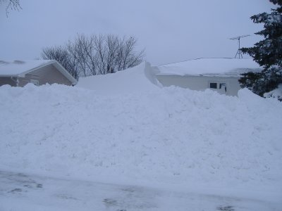 This photo was taken at the Tisthammer residence on West Church Steet in Albion on Monday, December 28, 2009.