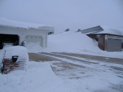 This photo was taken at the Tisthammer residence on West Church Steet in Albion on Monday, December 28, 2009.


