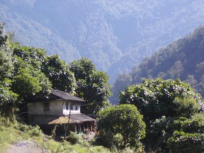 Nepal 028.jpg