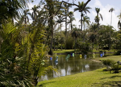 Fairchild gardens chihuly_091.jpg