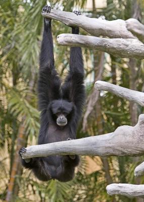 Miami Metro Zoo_012.jpg