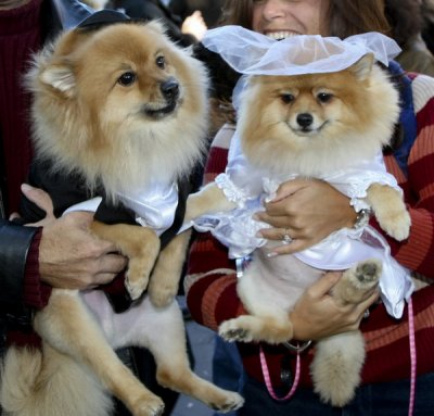 Bay Ridge Halloween_012.JPG