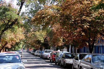 g3/62/195162/3/58850446.AntotherChileanFallStree.jpg