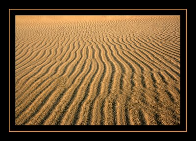 Sand Dune Detail