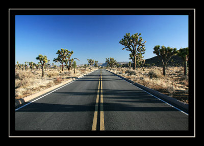 g3/62/235762/3/123307287.AIdd40ER.jpg