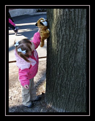 Norah's new friend, Sasha the tiger