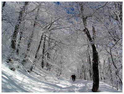 Hiking through the winter wonderland
