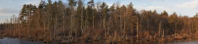 white eagle_marsh pano1.jpg