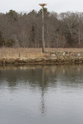 Replacing the Osprey Nest