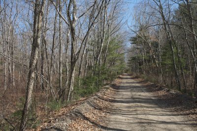 The Old Railroad Trail