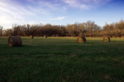 Spring Creek Hay Field