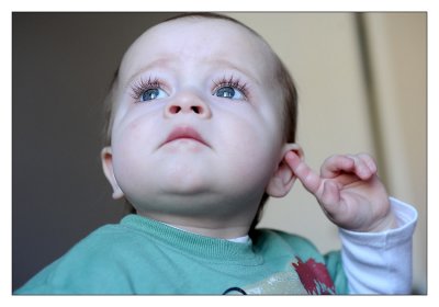 20100410d700_224.jpg