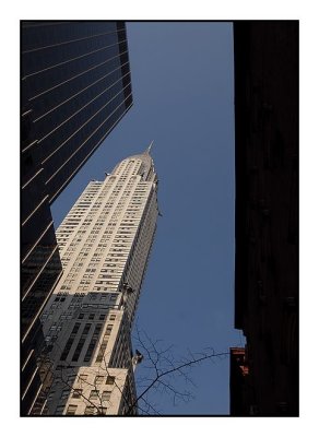 20080300d200_1845.jpg