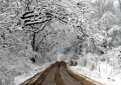 Feb. 5, 2006 - Winter Road