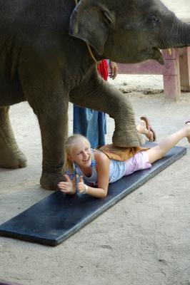 Thai Yoga, don't try this at home with your pet elephant