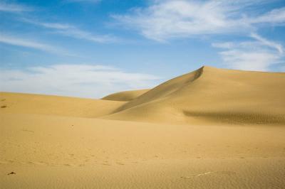The dunes of the Thar