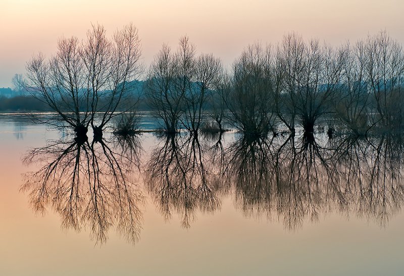 Flooded