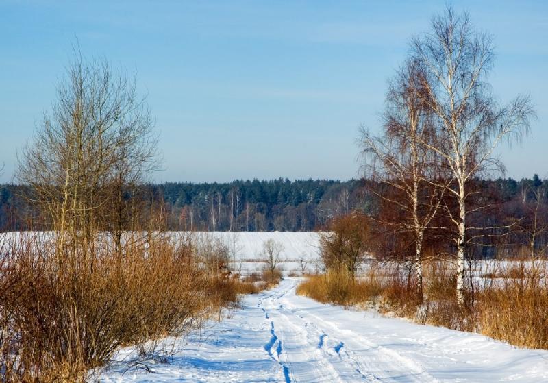 Road Near Brusno