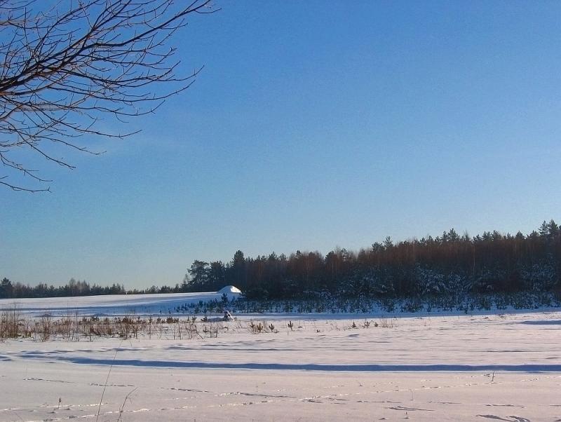 Shadows On The Snow