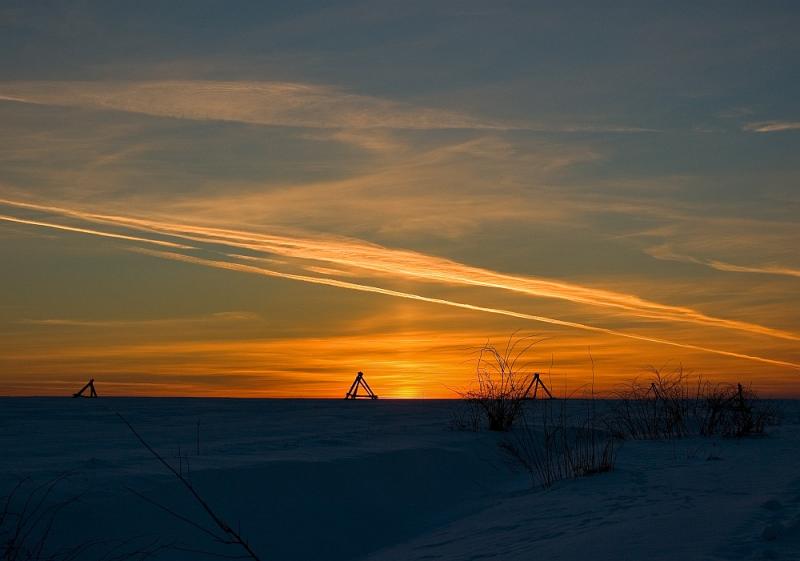 Winter Fields