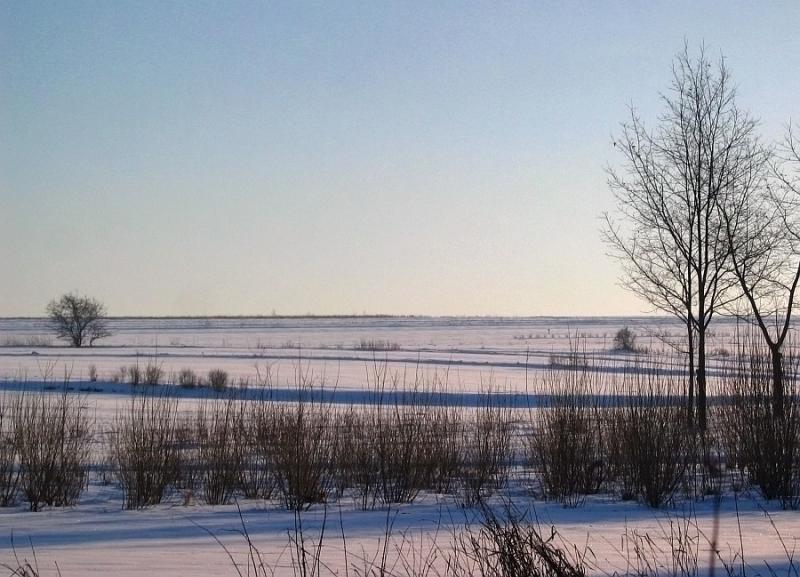 Cold Landscape