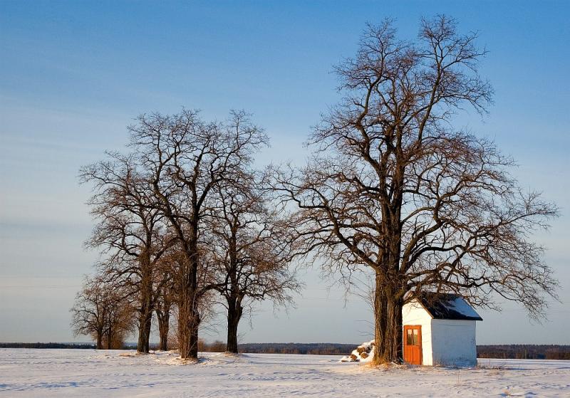 Shrine In The Trees