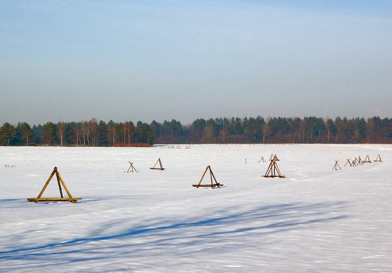 Pastoral Winter