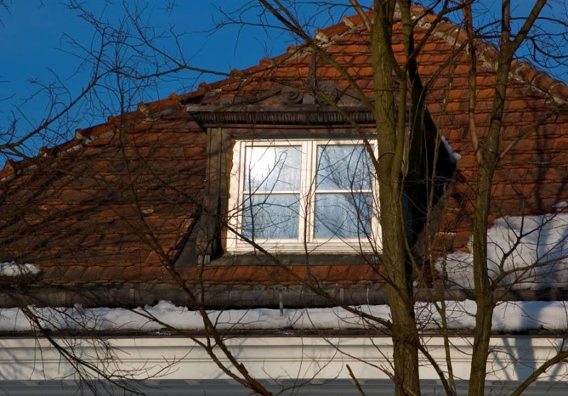 Winter Window