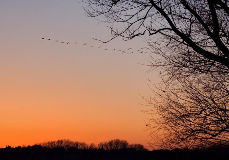 Early Spring Sunset