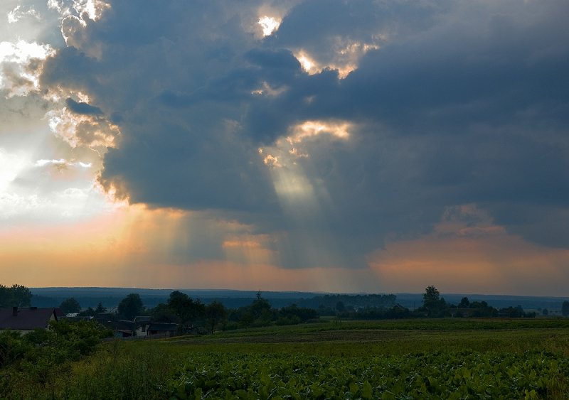 East Roztocze Landscape