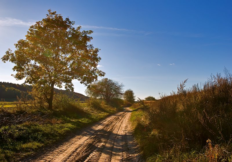 Sandy Road