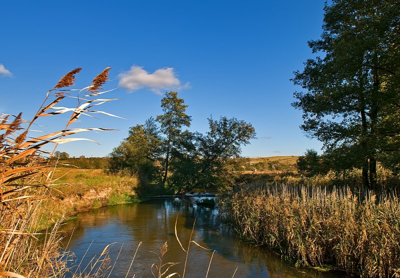 Wieprz River
