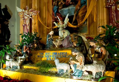 Christmas Crib At  Church Of The Holy Cross