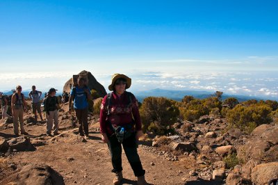 Just Above Horombo Huts