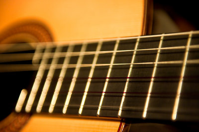 Frets And Strings