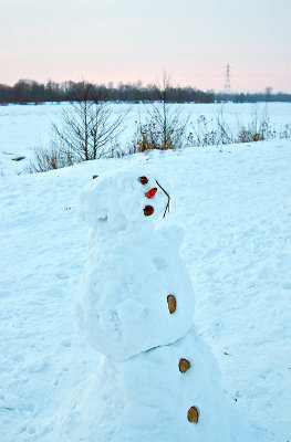 Snowman At The River