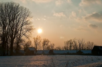 Cold Winter Sun